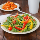 Foam Laminated Plates.Choose Size,Color From Drop Down Menu